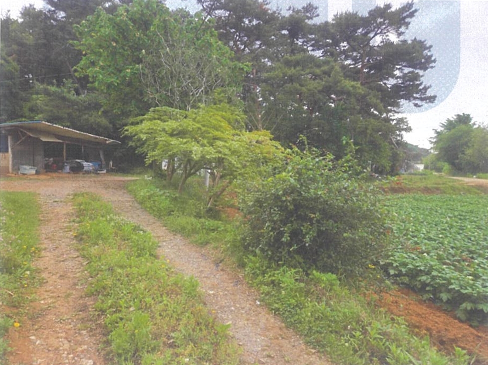 충청남도 당진시 송악읍 부곡리 362-1 전 경매 사진 35