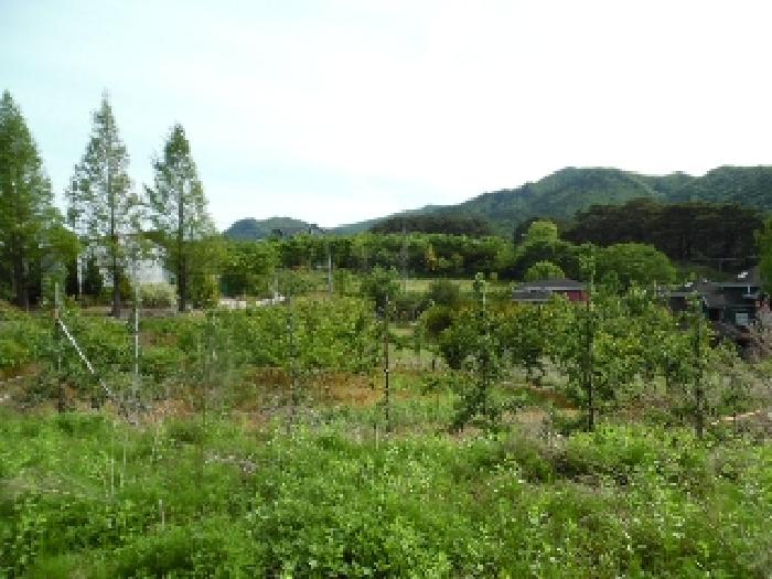 전북특별자치도 무주군 설천면 심곡리 660-3 답 경매 사진 22