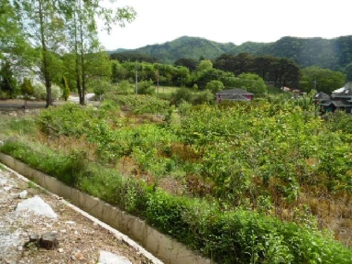 전북특별자치도 무주군 설천면 심곡리 660-3 답 경매 사진 23