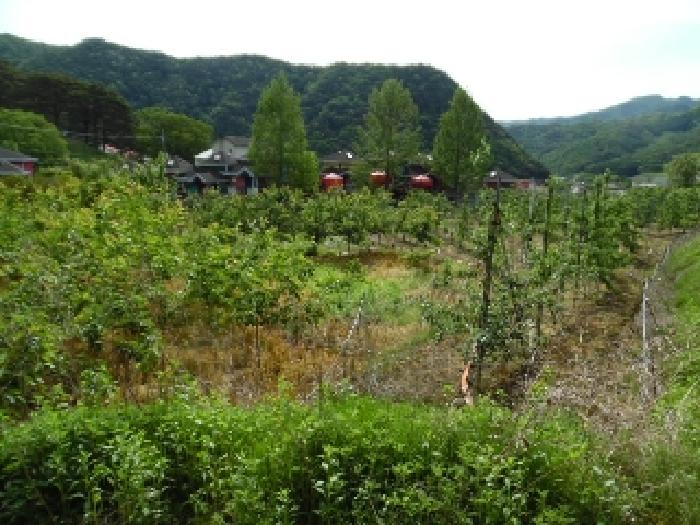 전북특별자치도 무주군 설천면 심곡리 660-3 답 경매 사진 24