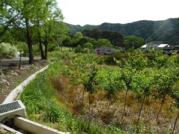 전북특별자치도 무주군 설천면 심곡리 660-3 답 경매 사진 25