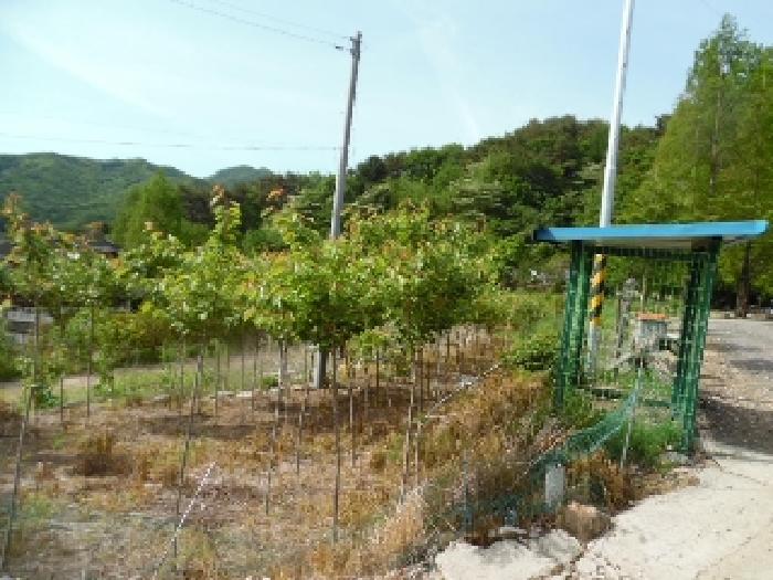 전북특별자치도 무주군 설천면 심곡리 660-3 답 경매 사진 27