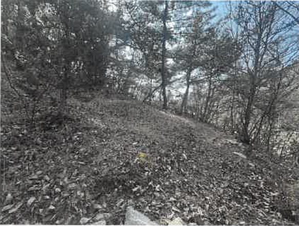전북특별자치도 김제시 금구면 월전리 산44 외 1필지 임야 경매 사진 4