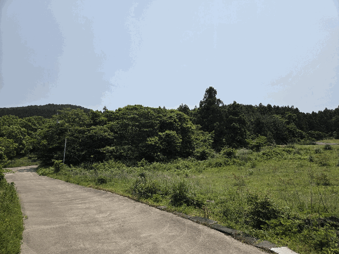 제주특별자치도 제주시 조천읍 선흘리 475-77 외 2필지 임야 경매 사진 12