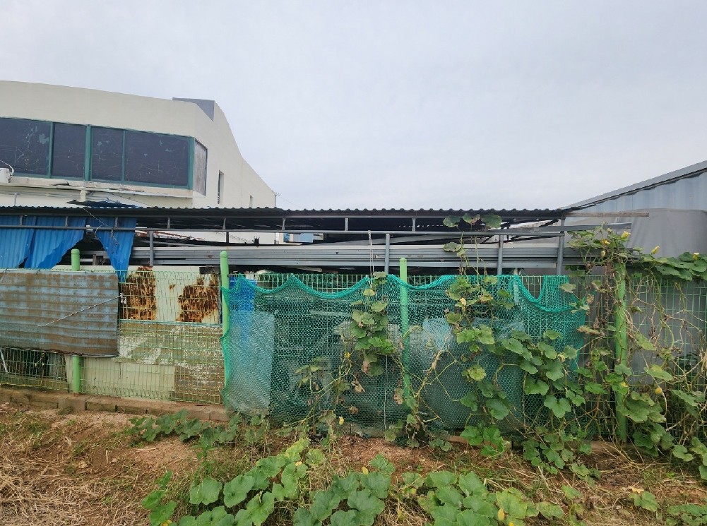 충청남도 당진시 합덕읍 운산리 256-158 외 3필지 상가주택 경매 사진 6
