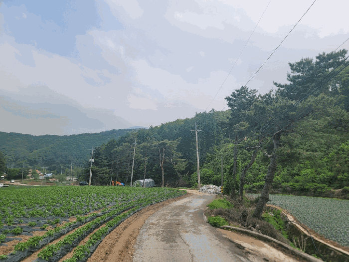 강원특별자치도 평창군 용평면 백옥포리 399 전 경매 사진 2