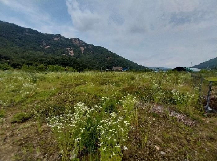 충청남도 공주시 반포면 온천리 282 외 1필지 전 경매 사진 1