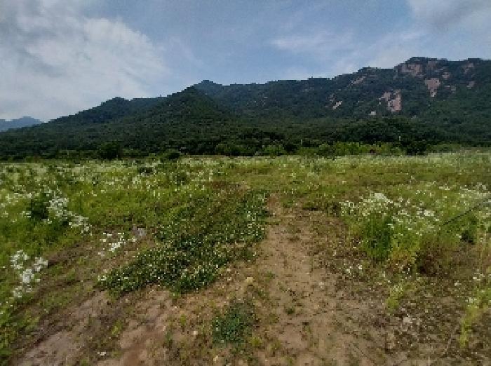 충청남도 공주시 반포면 온천리 282 외 1필지 전 경매 사진 2