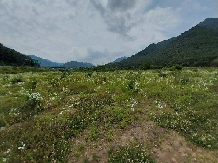 충청남도 공주시 반포면 온천리 282 외 1필지 전 경매 사진 3
