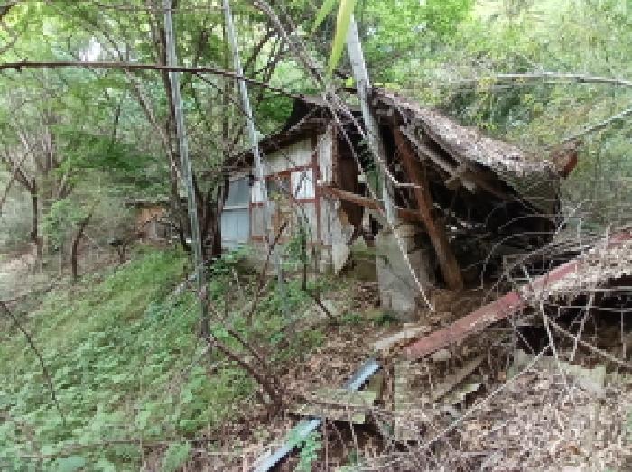 충청남도 서산시 성연면 왕정리 53 외 2필지 답 경매 사진 2