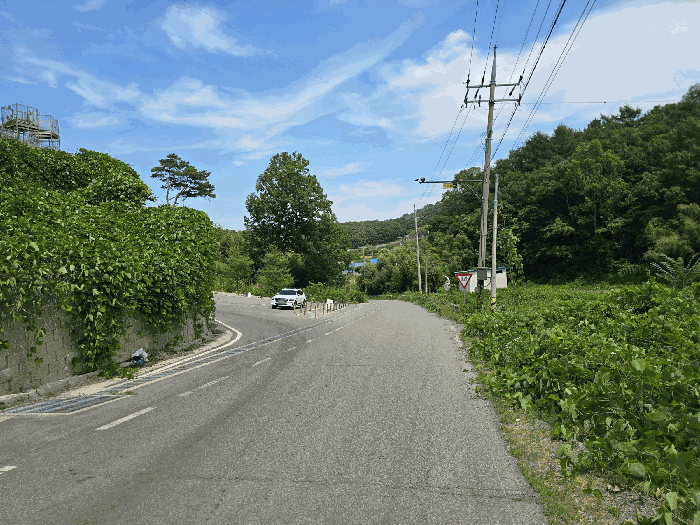 충청남도 서산시 성연면 왕정리 53 외 2필지 답 경매 사진 11