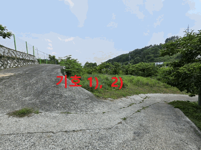 경상북도 청도군 이서면 팔조리 119 외 4필지 대지 경매 사진 12