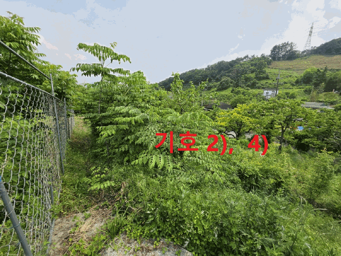 경상북도 청도군 이서면 팔조리 119 외 4필지 대지 경매 사진 15