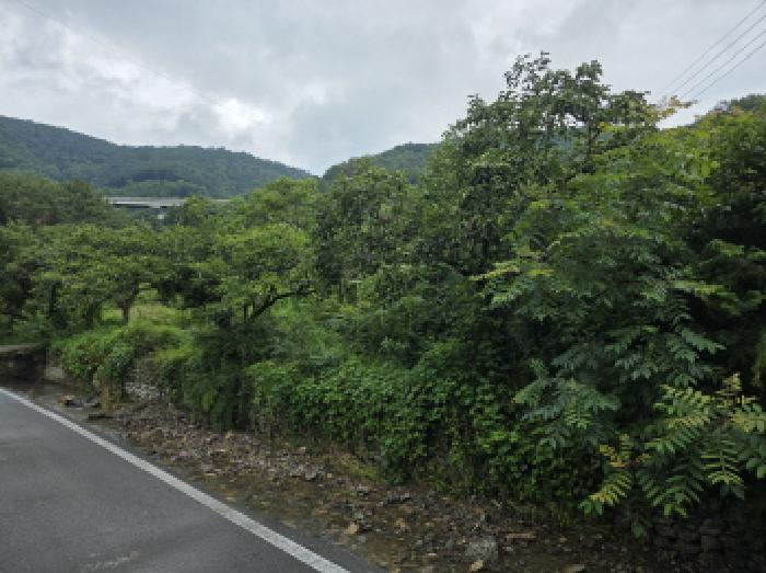 경상북도 청도군 이서면 팔조리 119 외 4필지 대지 경매 사진 6