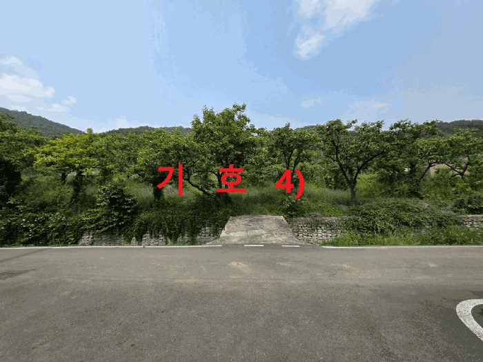 경상북도 청도군 이서면 팔조리 119 외 4필지 대지 경매 사진 8