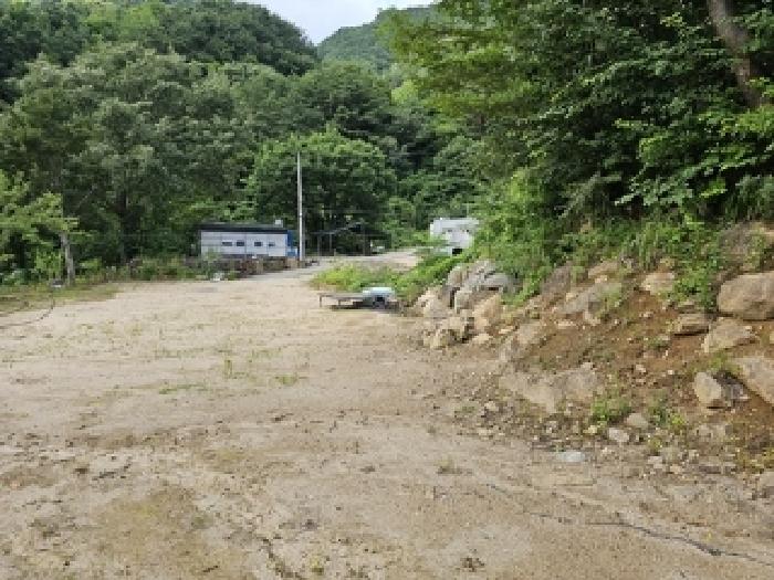 경상남도 하동군 화개면 대성리 272 외 7필지 답 경매 사진 1