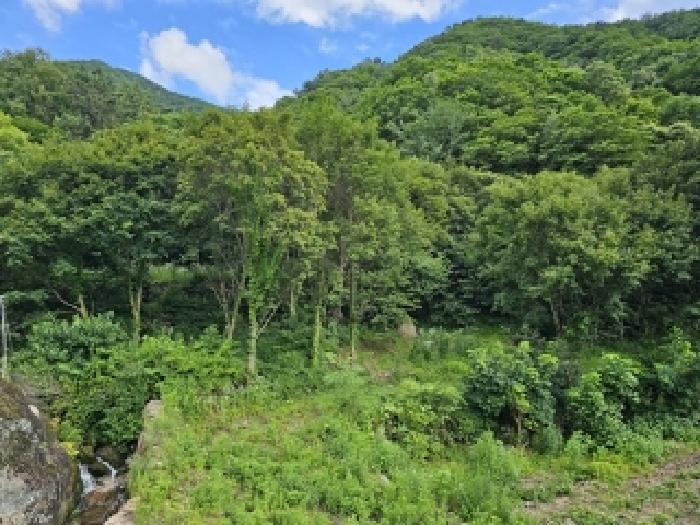 경상남도 하동군 화개면 대성리 272 외 7필지 답 경매 사진 2