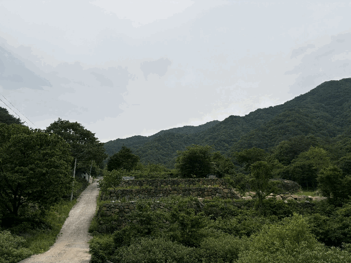 경상남도 하동군 화개면 대성리 272 외 7필지 답 경매 사진 23