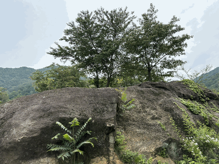 경상남도 하동군 화개면 대성리 272 외 7필지 답 경매 사진 24