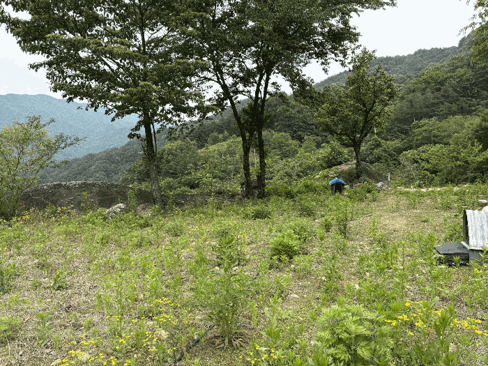 경상남도 하동군 화개면 대성리 272 외 7필지 답 경매 사진 30