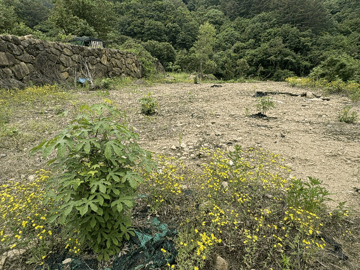 경상남도 하동군 화개면 대성리 272 외 7필지 답 경매 사진 37