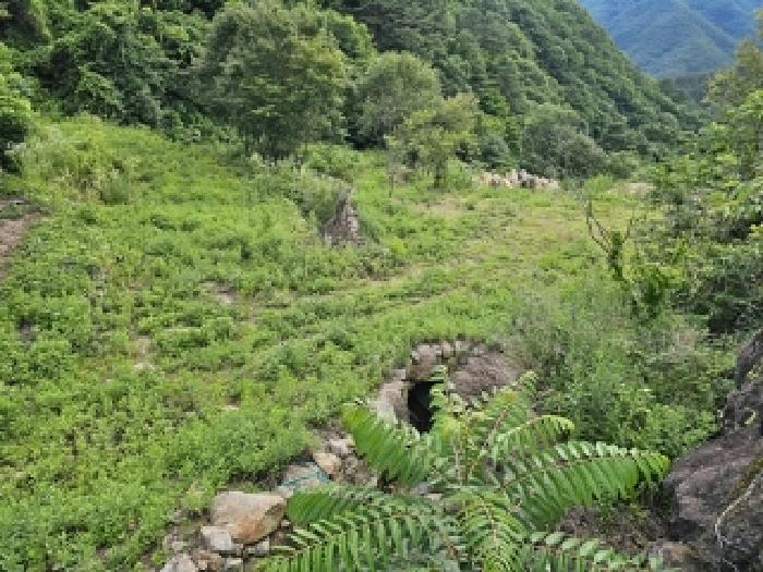 경상남도 하동군 화개면 대성리 272 외 7필지 답 경매 사진 5
