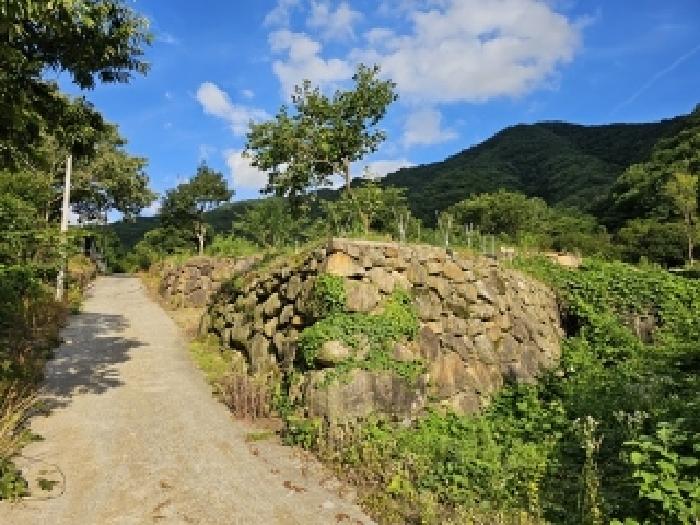 경상남도 하동군 화개면 대성리 272 외 7필지 답 경매 사진 9