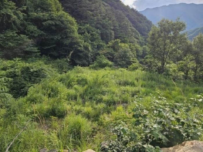 경상남도 하동군 화개면 대성리 272 외 7필지 답 경매 사진 10
