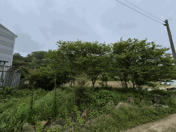 광주광역시 광산구 남산동 280-2 외 1필지 근린생활시설 경매 사진 19