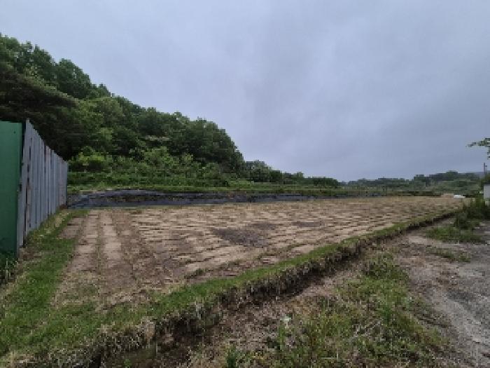 광주광역시 광산구 남산동 280-2 외 1필지 근린생활시설 경매 사진 8