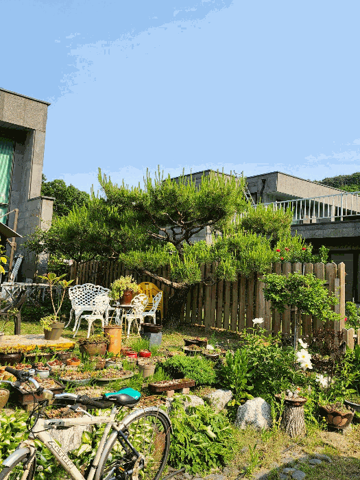 충청북도 충주시 살미면 문강리 120 주택 경매 사진 21