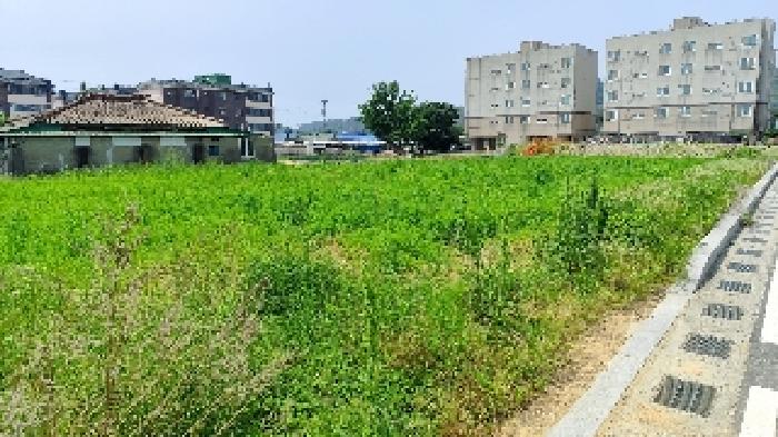 충청남도 홍성군 광천읍 신진리 571-2 전 경매 사진 1