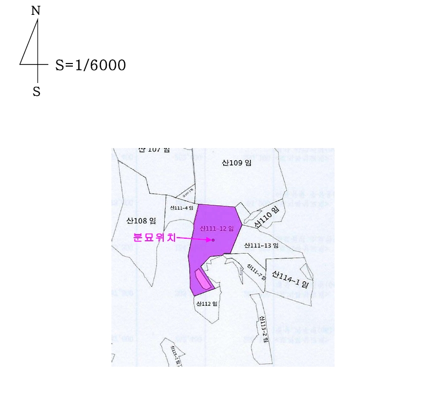 충청남도 부여군 장암면 지토리 산111-12 임야 경매 사진 24