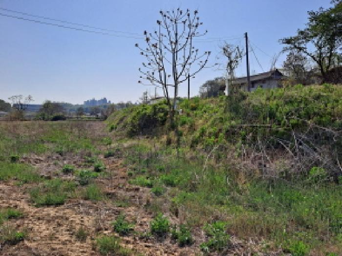 충청남도 당진시 송악읍 오곡리 165-1 외 2필지 답 경매 사진 12