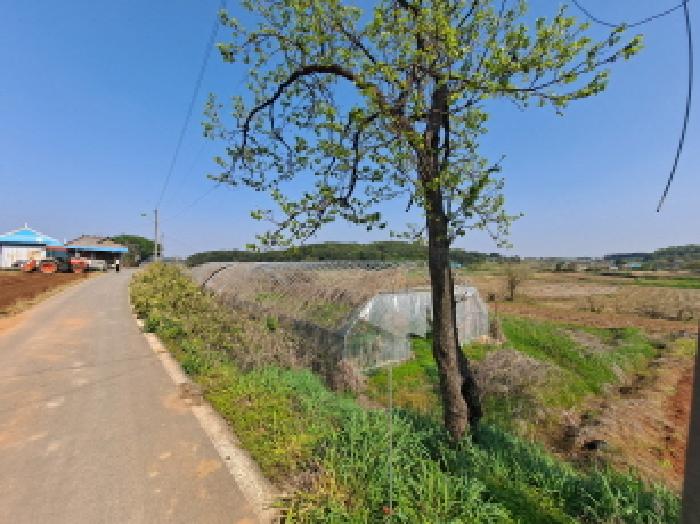 충청남도 당진시 송악읍 오곡리 165-1 외 2필지 답 경매 사진 17
