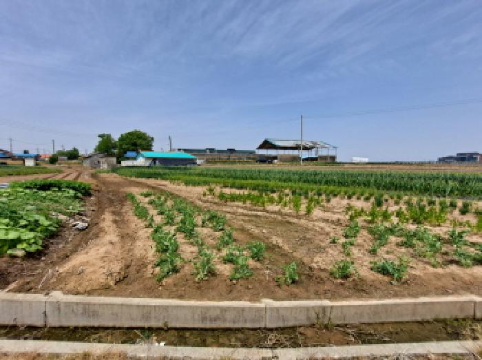충청남도 당진시 우강면 송산리 52 전답 경매 사진 3