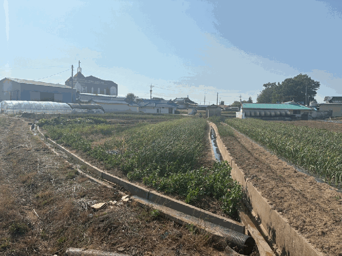 충청남도 당진시 우강면 송산리 52 전답 경매 사진 5