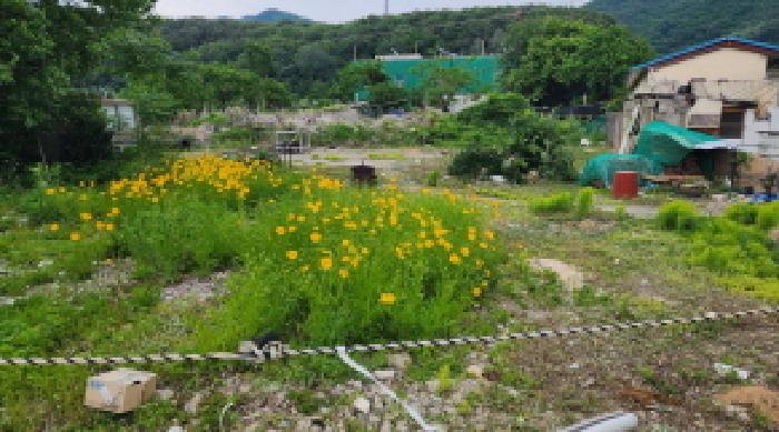 경상남도 양산시 하북면 용연리 506-1 대지 경매 사진 8