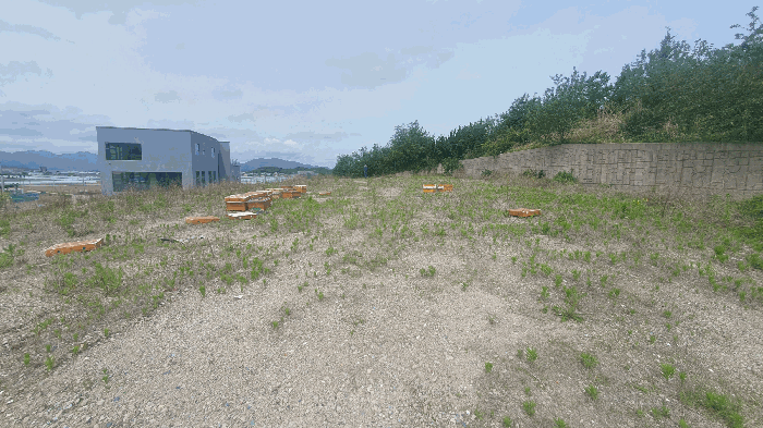 경상남도 창원시 의창구 대산면 우암리 328 임야 경매 사진 31