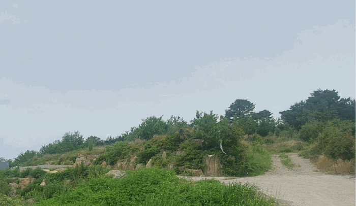 경상남도 창원시 의창구 대산면 우암리 328 임야 경매 사진 32