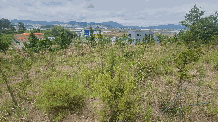 경상남도 창원시 의창구 대산면 우암리 328 임야 경매 사진 26