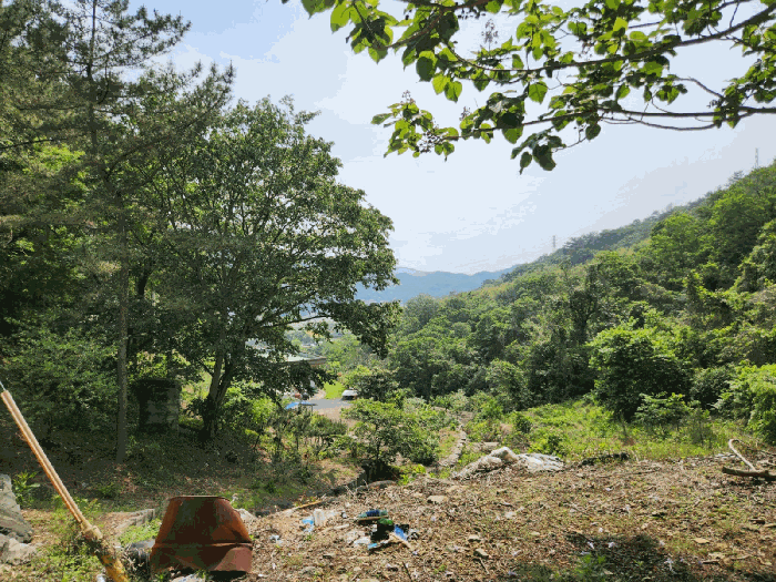 경상남도 고성군 구만면 광덕리 산224 임야 경매 사진 48