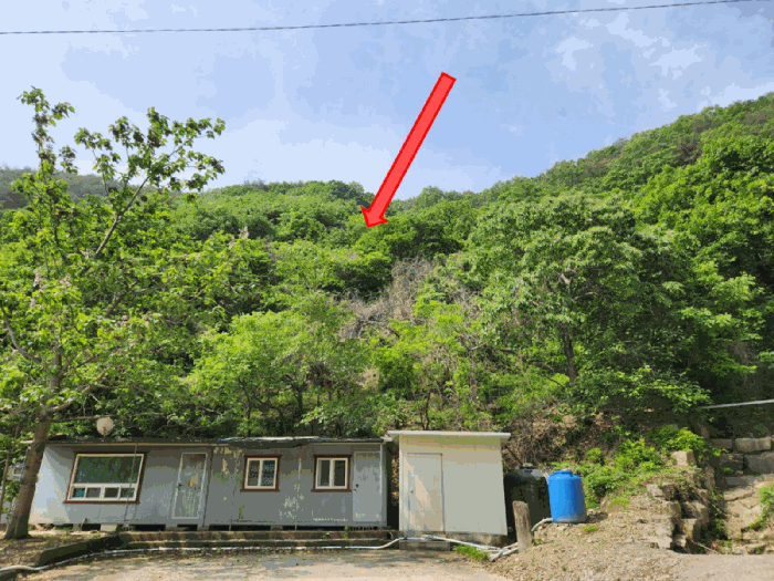 경상남도 고성군 구만면 광덕리 산224 임야 경매 사진 50