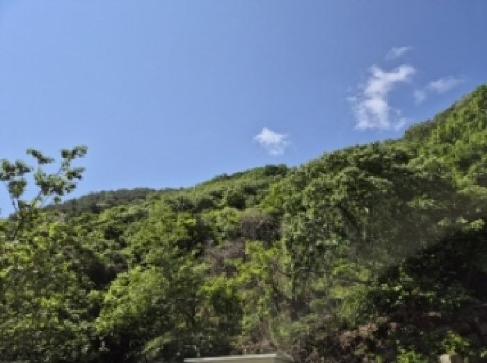 경상남도 고성군 구만면 광덕리 산224 임야 경매 사진 33