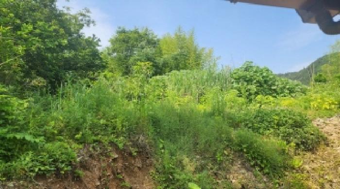 전라남도 고흥군 점암면 대룡리 486 대지 경매 사진 11