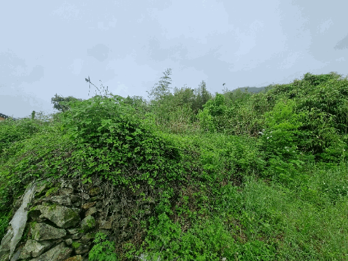 전라남도 고흥군 점암면 대룡리 486 대지 경매 사진 15