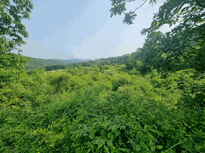 전북특별자치도 임실군 임실읍 정월리 927-1 답 경매 사진 22