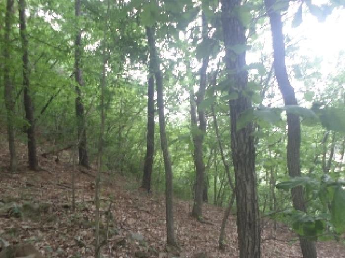 전북특별자치도 임실군 신평면 원천리 산19 외 1필지 임야 경매 사진 2