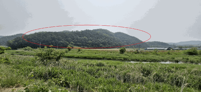 전북특별자치도 임실군 신평면 원천리 산19 외 1필지 임야 경매 사진 19