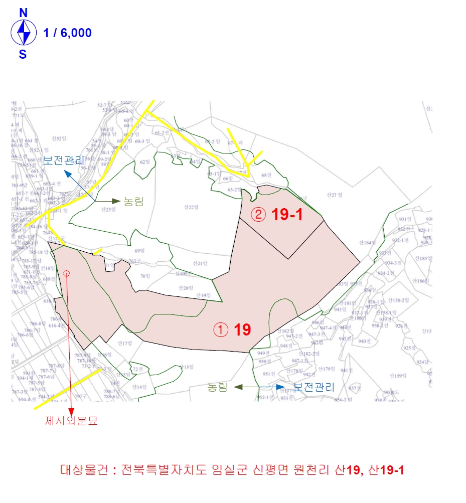 전북특별자치도 임실군 신평면 원천리 산19 외 1필지 임야 경매 사진 24